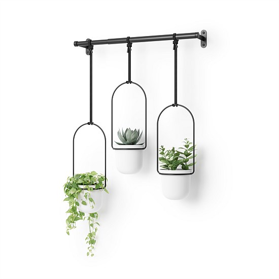 Triflora Hanging Planter