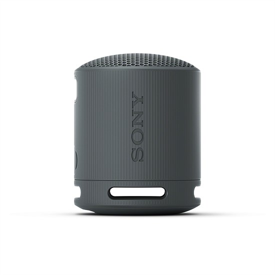 SRS-XB100 Portable Wireless Speaker