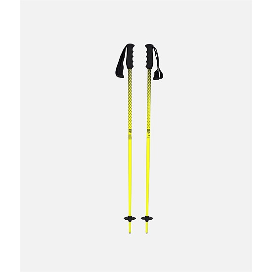 Meta Junius Ski Poles