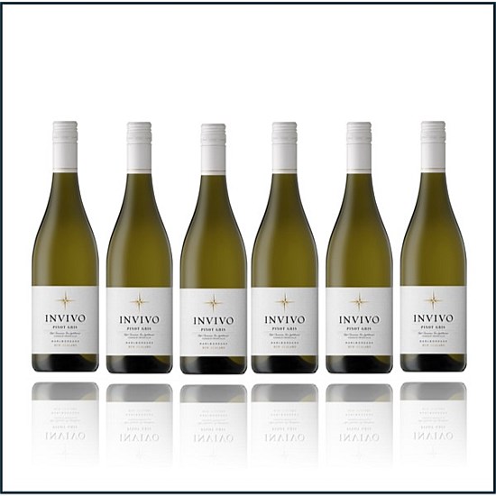 Invivo Marlborough Pinot Gris - 6 Bottles