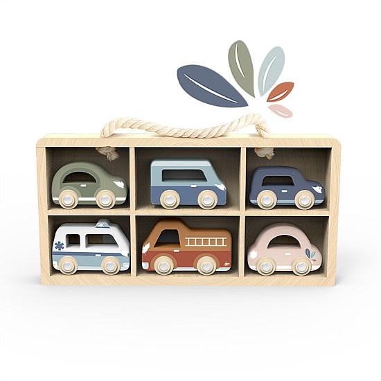 Car Display Case w/6 Vehicles