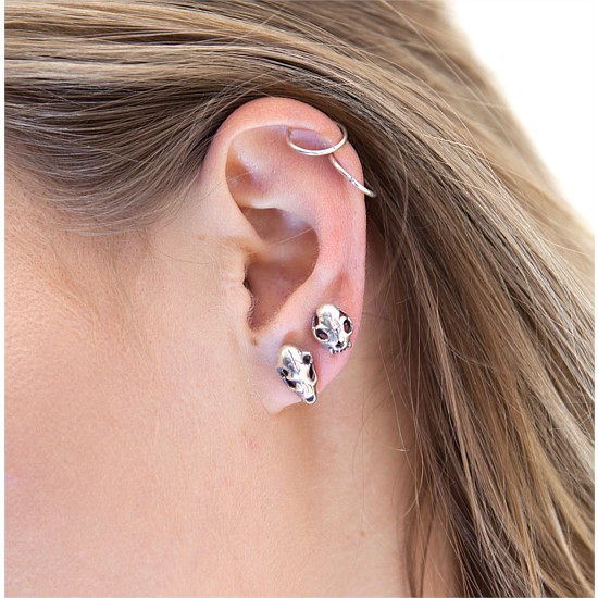 It's Raining Cats & Dogs Studs