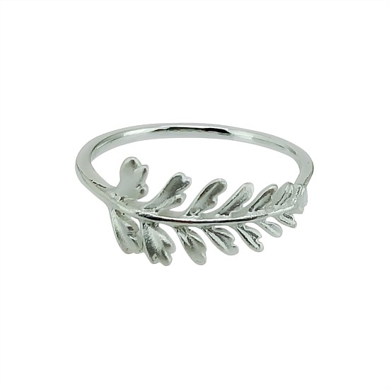 New Zealand Hen & Chicken Fern Ring