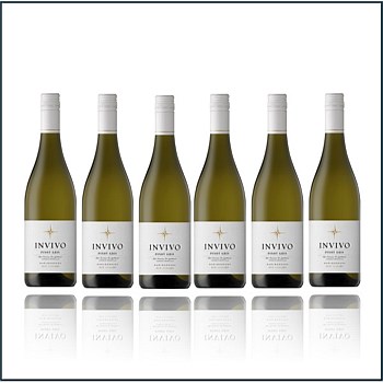 Invivo Marlborough Pinot Gris - 6 Bottles