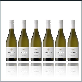 Invivo Marlborough Sauvignon Blanc - 6 Bottles