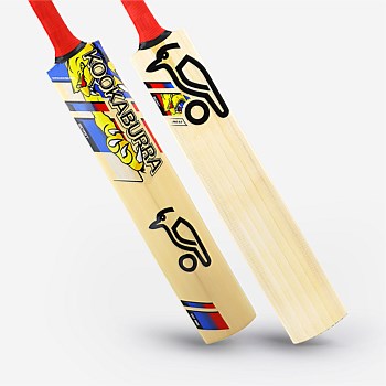 Beast Pro 9.0 Junior Cricket Bat